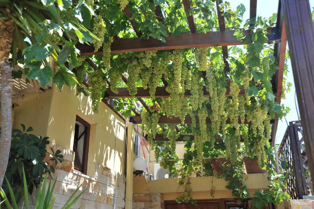 Rhodes City Sofia Pension מראה חיצוני תמונה